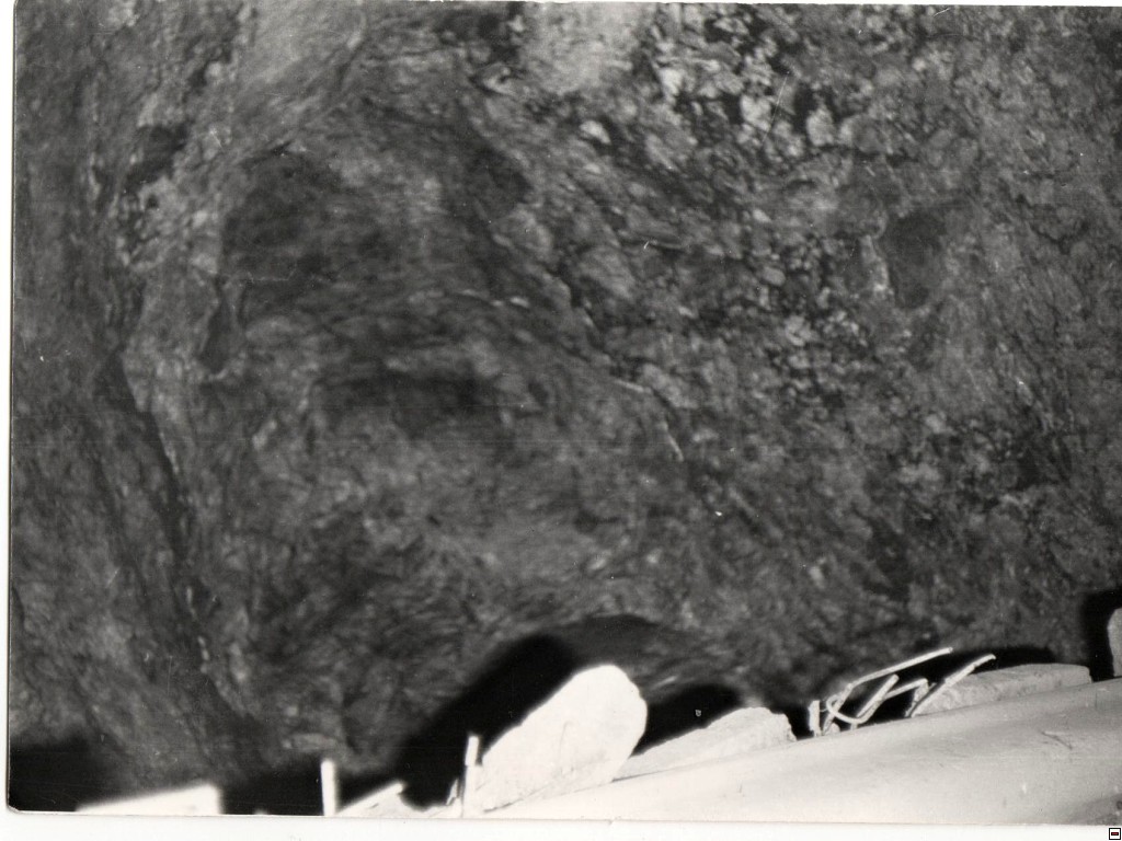 img00008.jpg