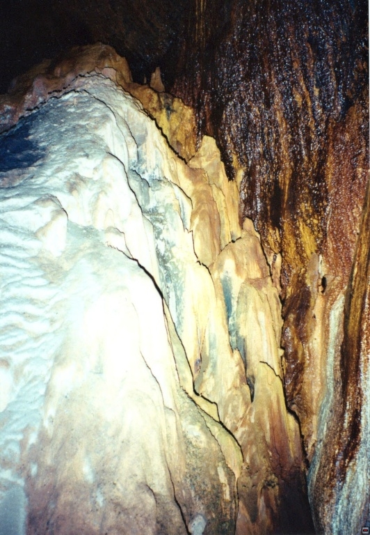 img00007.jpg