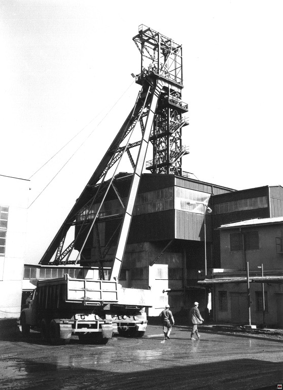img00036.jpg