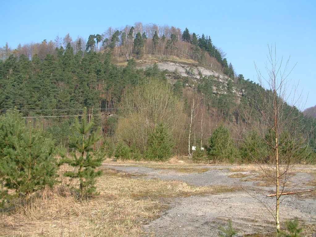 img00038.jpg