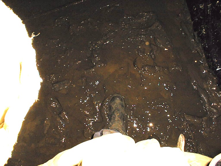 img00052.jpg
