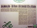 thn00191.jpg