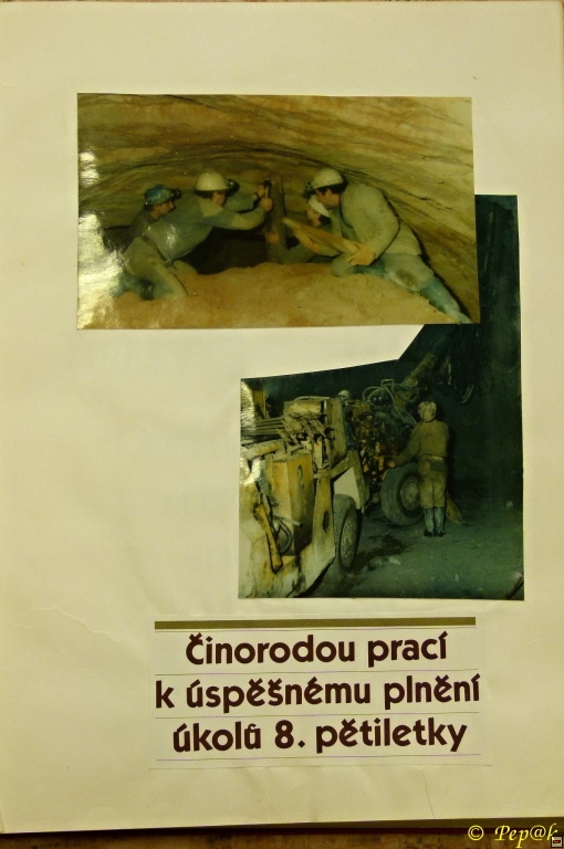 img00020.jpg