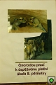 thn00020.jpg