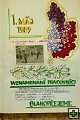 thn00106.jpg