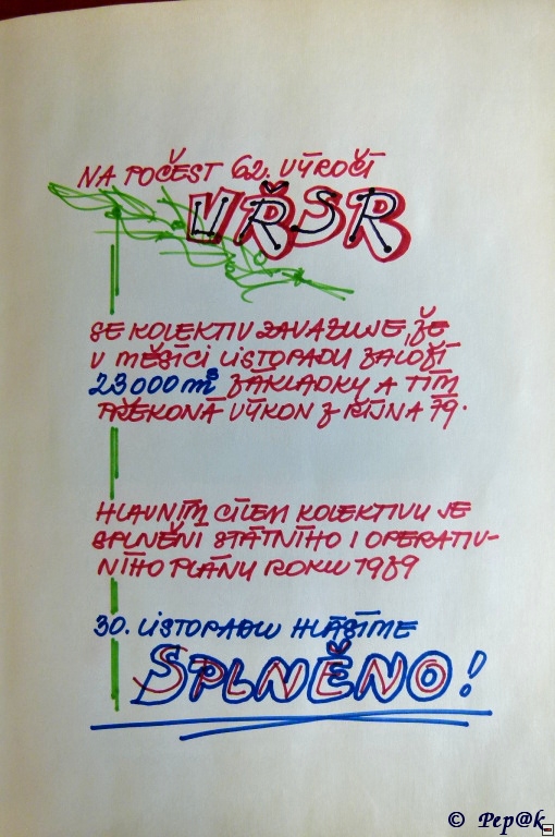 img00006.jpg