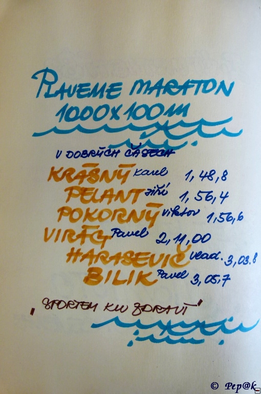 img00095.jpg