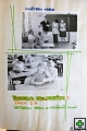 thn00029.jpg