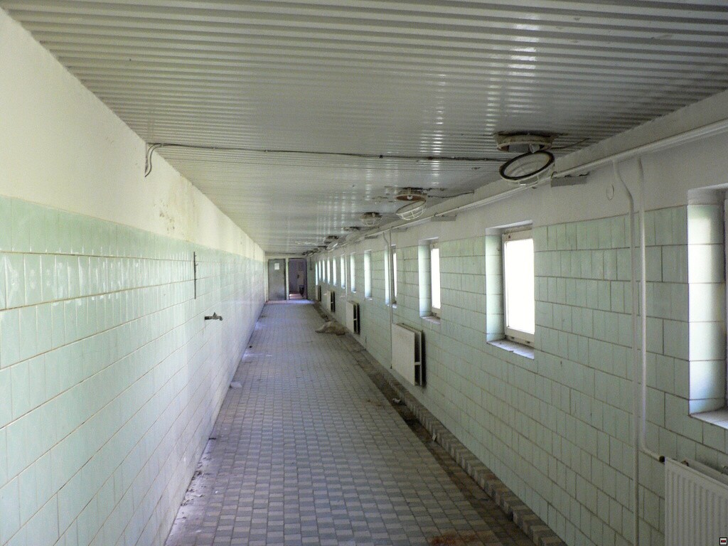img00047.jpg
