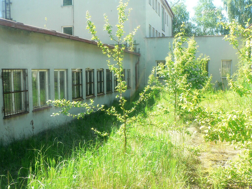 img00048.jpg