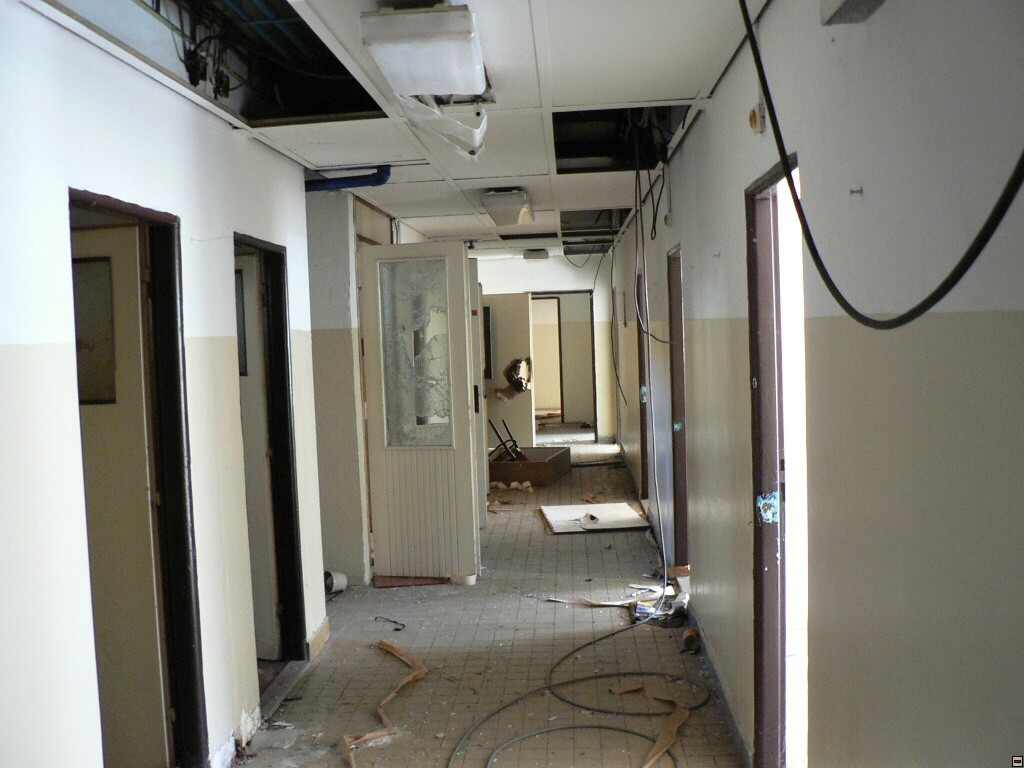 img00050.jpg