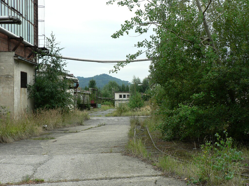 img00070.jpg
