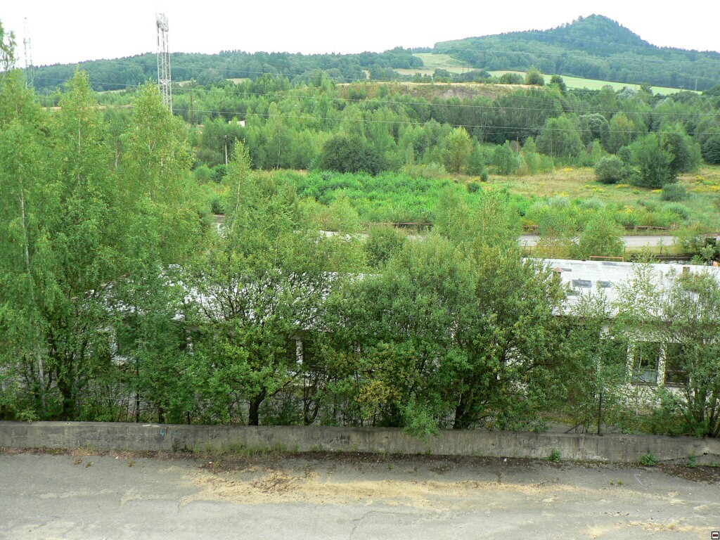 img00081.jpg