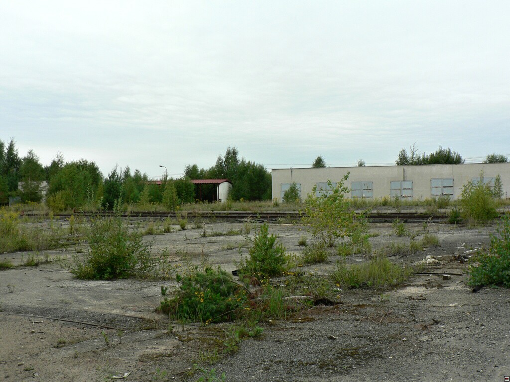 img00095.jpg