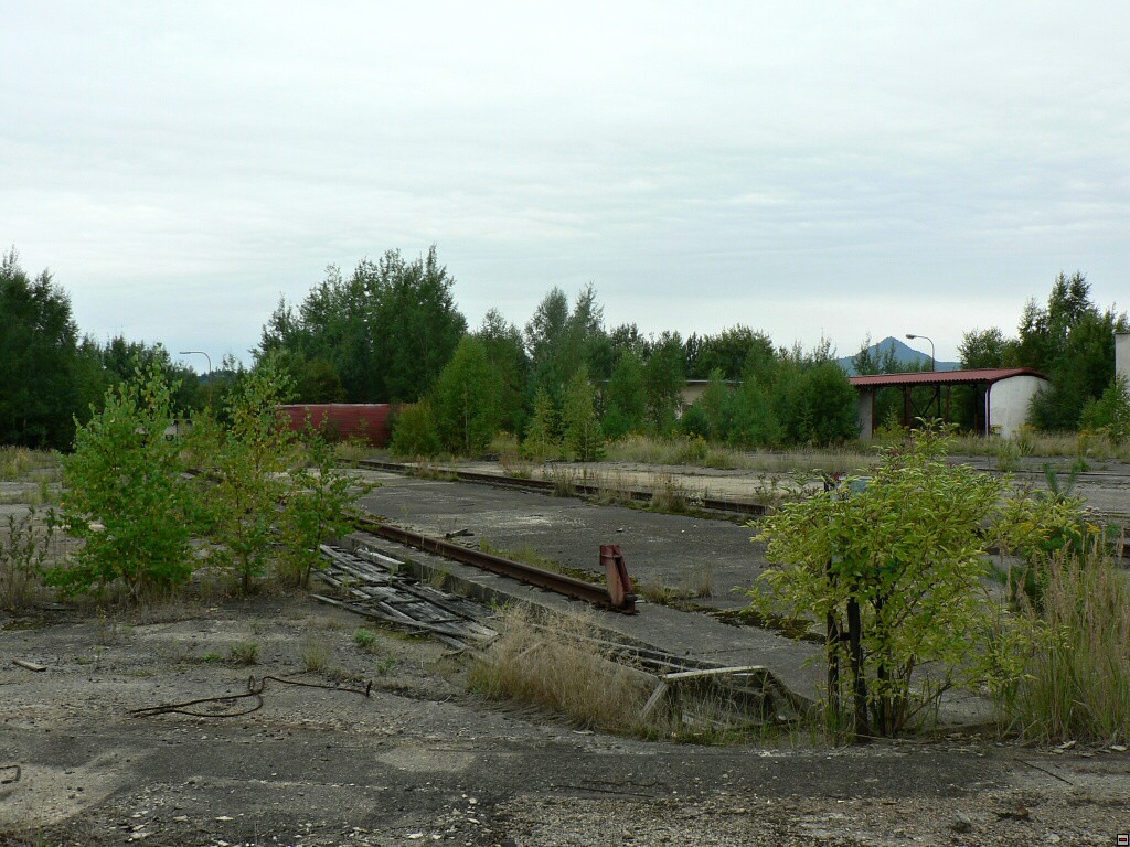 img00098.jpg