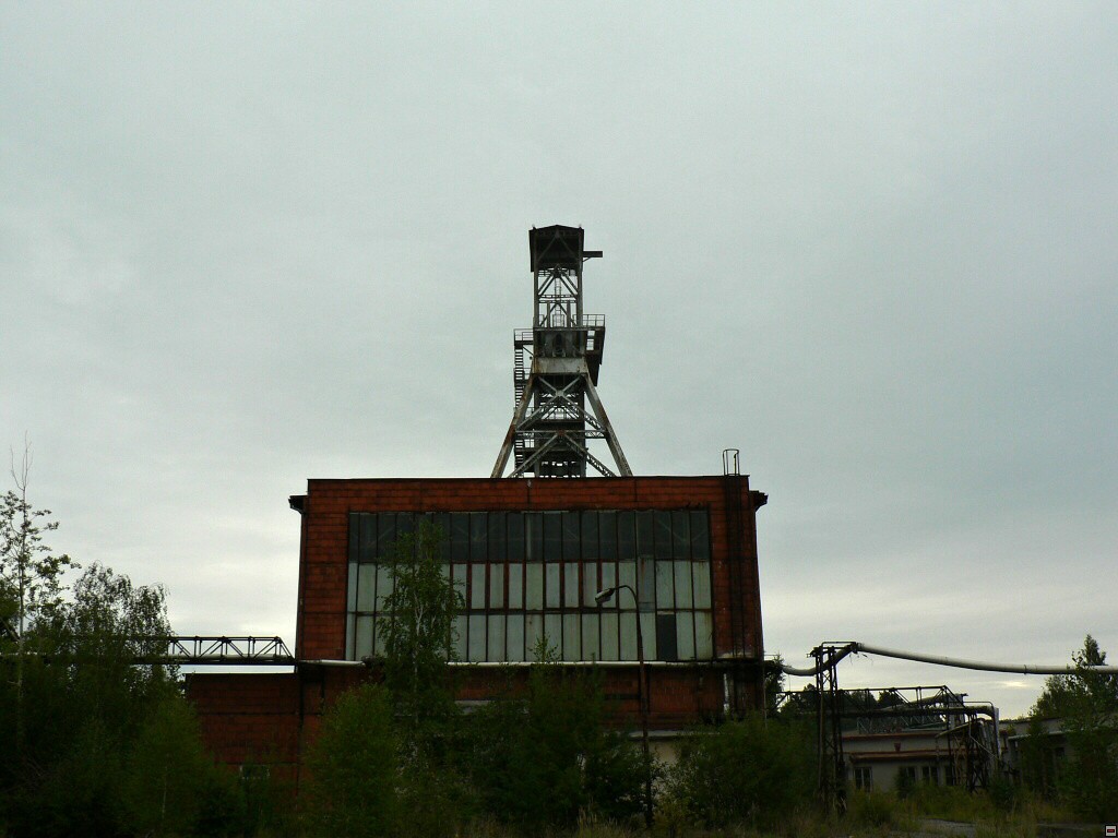 img00099.jpg