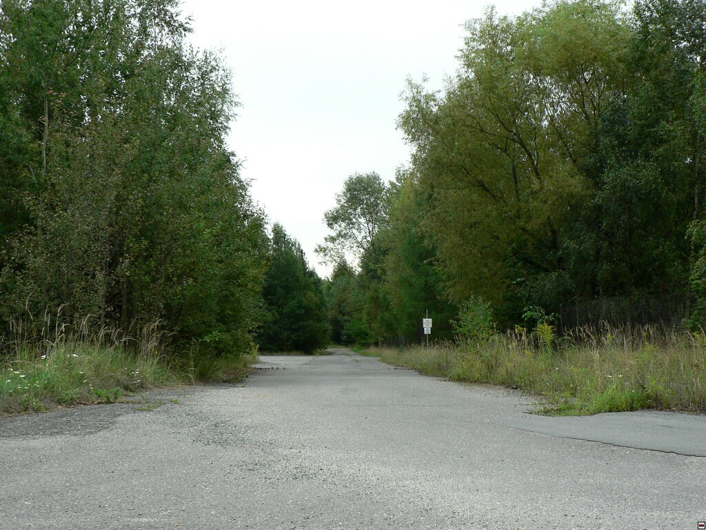 img00102.jpg