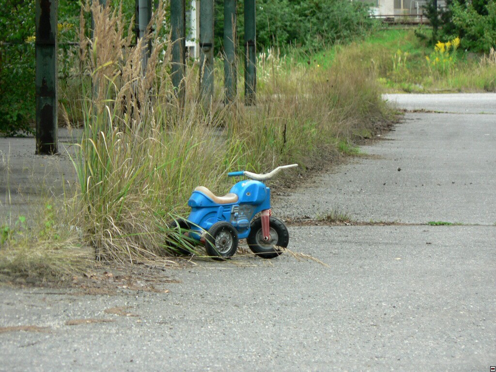 img00106.jpg