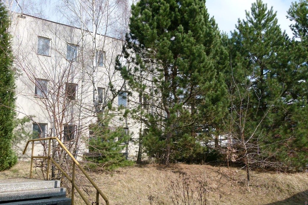 img00019.jpg