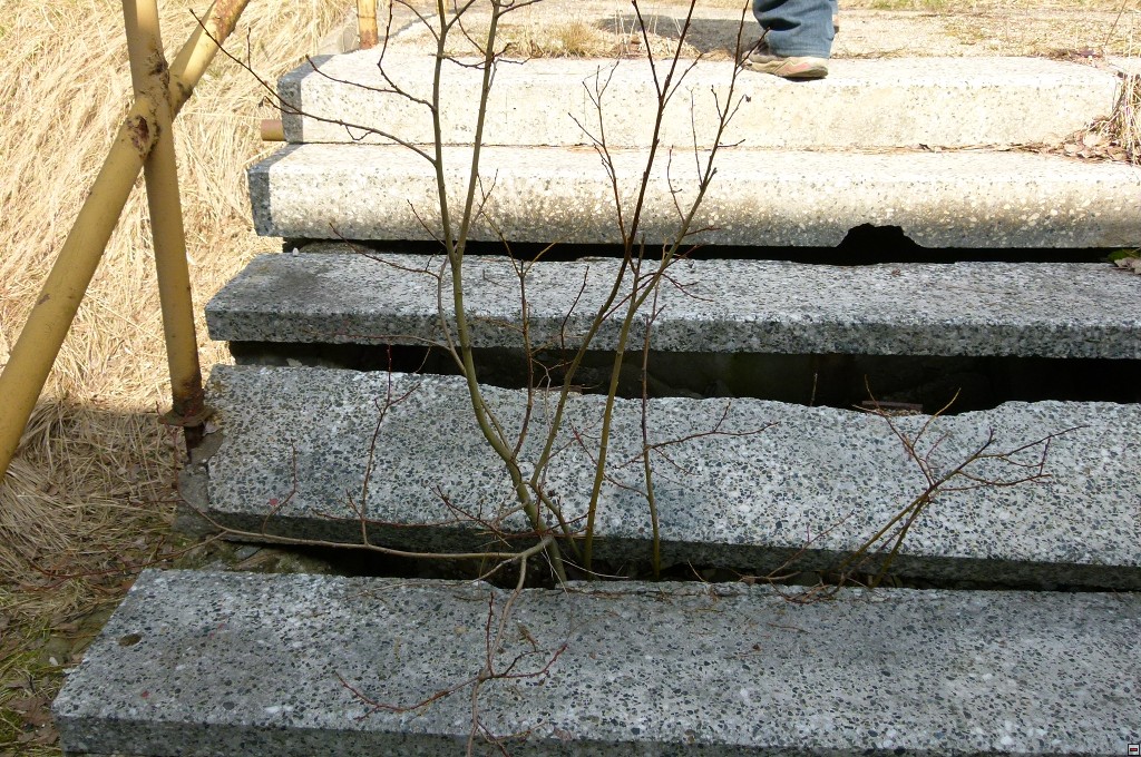 img00020.jpg