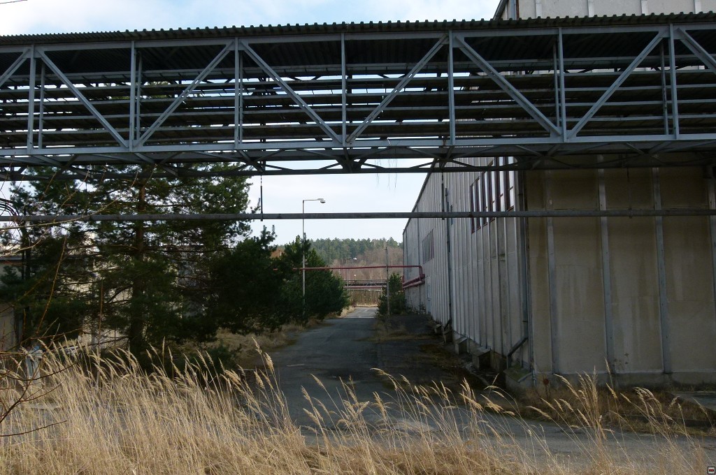 img00041.jpg