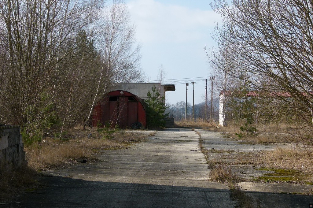 img00113.jpg