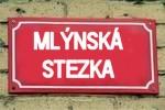 mlynska