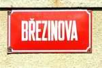 brezinova