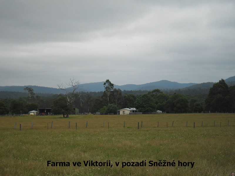 img00042.jpg